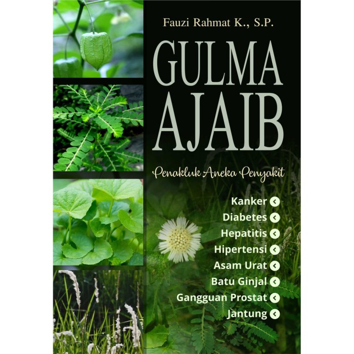 Gulma Ajaib Penakluk Aneka Penyakit (BW) Murah